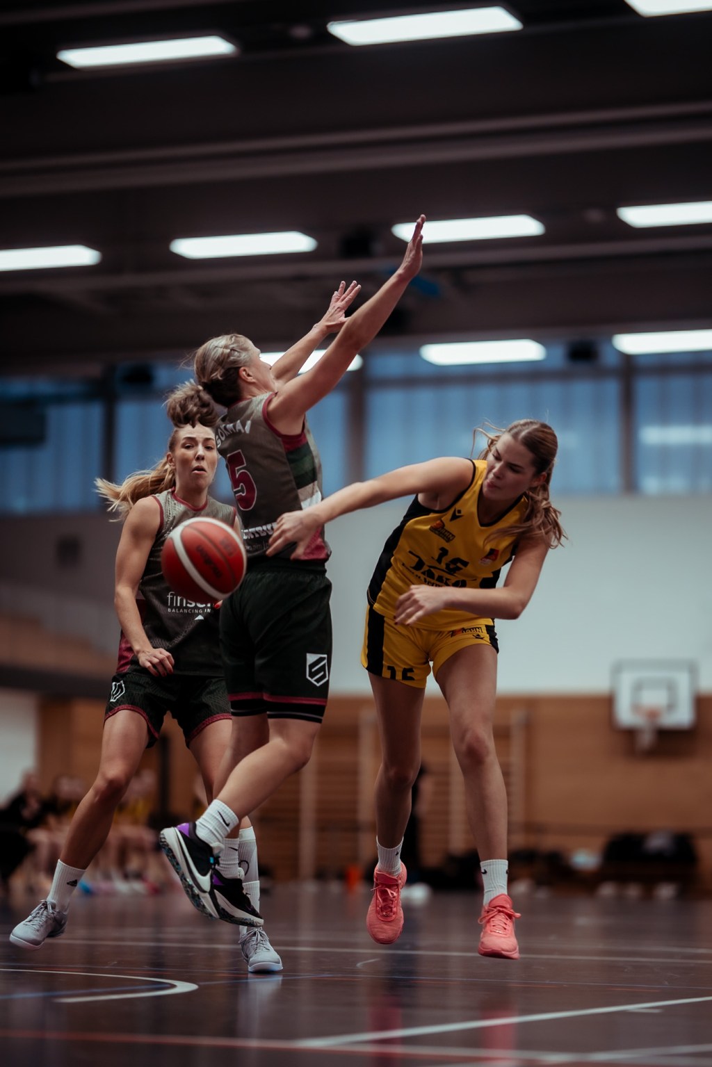 Regionalliga Damen Süd: TS Jahn München – SB DJK Rosenheim